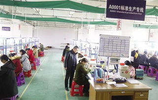 返鄉(xiāng)建起 脫貧工廠 把電子產(chǎn)品賣到國外